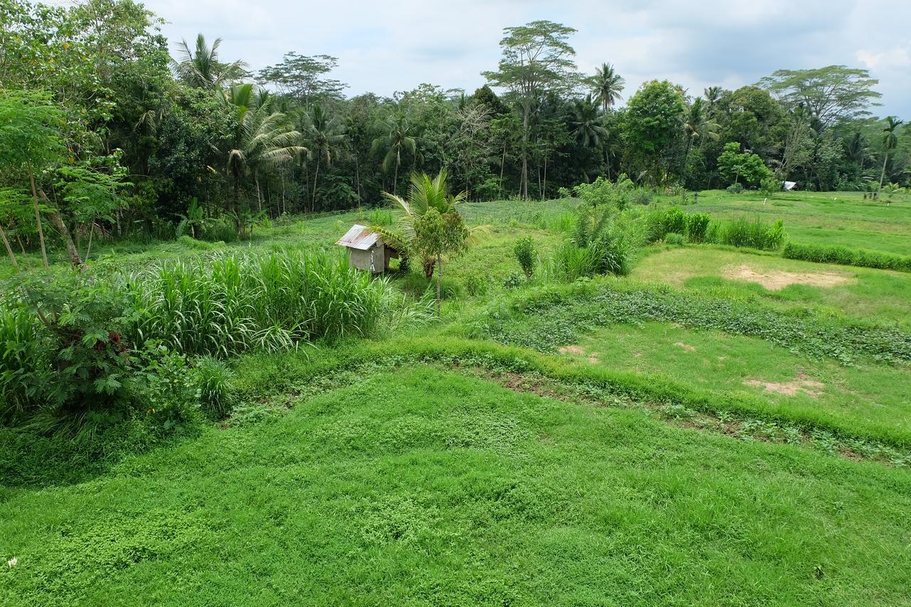 The Rana Villa Tegallalang  Exterior photo