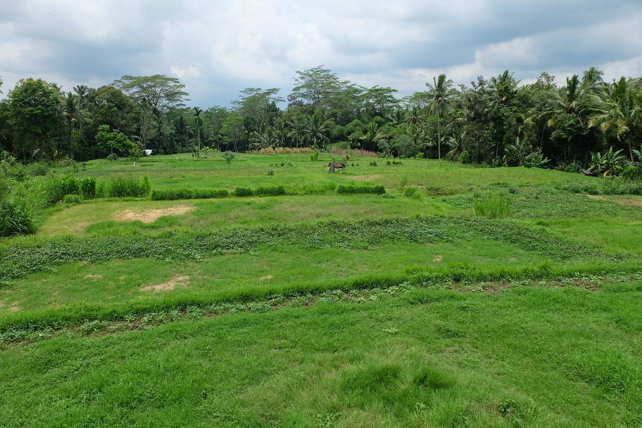 The Rana Villa Tegallalang  Exterior photo